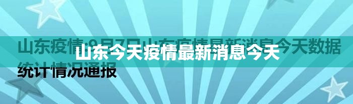 31省新增13例确诊，31省新增13例确诊