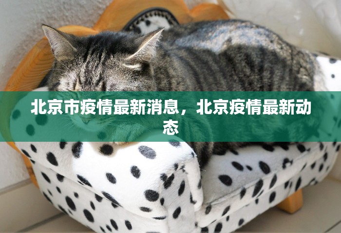 东莞疫情最新消息今天新增了15例	，东莞新增15例