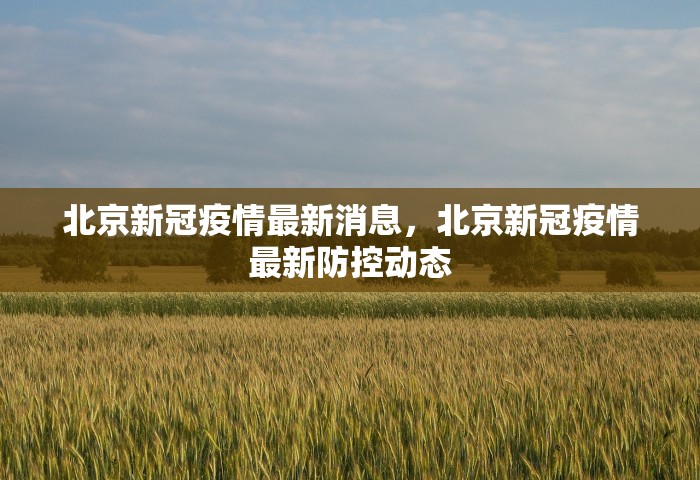 葫芦岛最新疫情最新消息，葫芦岛最新疫情最新消息