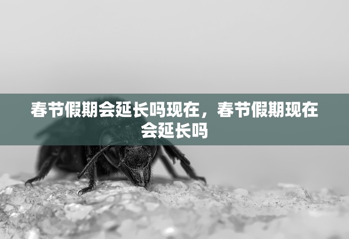 一分钟介绍“微信群炸拼十如何创建房间”详细房卡使用教程-哔哩哔哩
