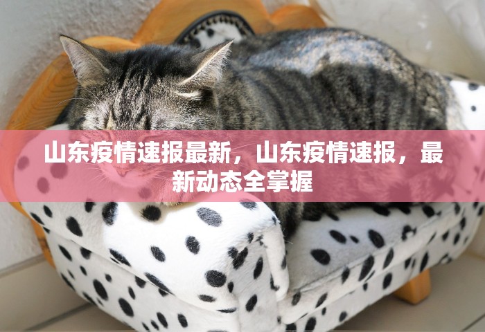 31省新增本土确诊病例最新消息	，31省新增本土确诊病例最新通报