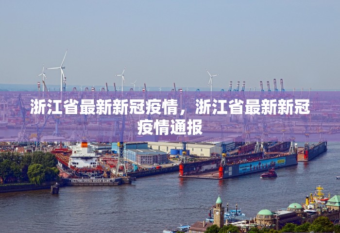 浙江省最新新冠疫情，浙江省最新新冠疫情通报