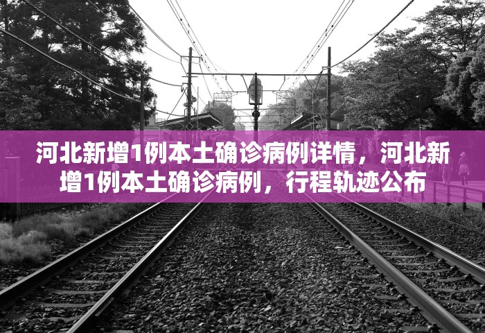 世卫讨论结束新冠全球紧急状态，世卫组织讨论结束新冠全球紧急状态