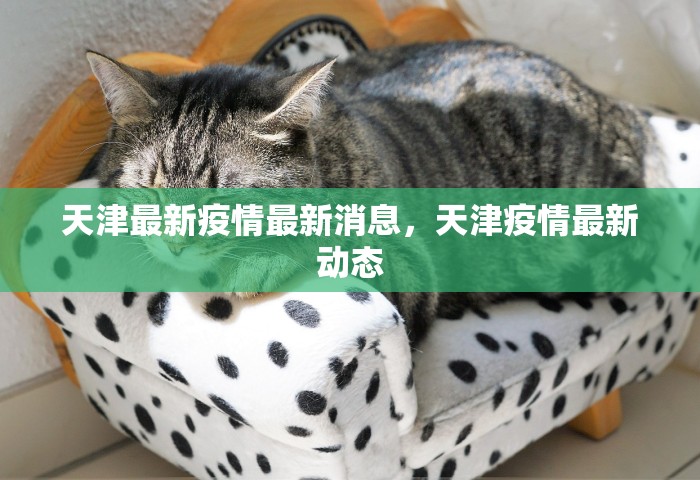 北京限号2021年3月最新限号，北京2021年3月最新限号安排