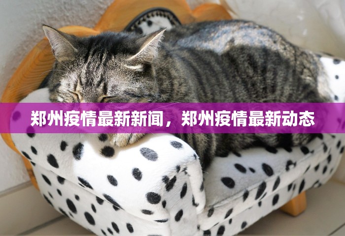 安徽怀远发出多份省外协查函，安徽怀远发出多份省外协查函