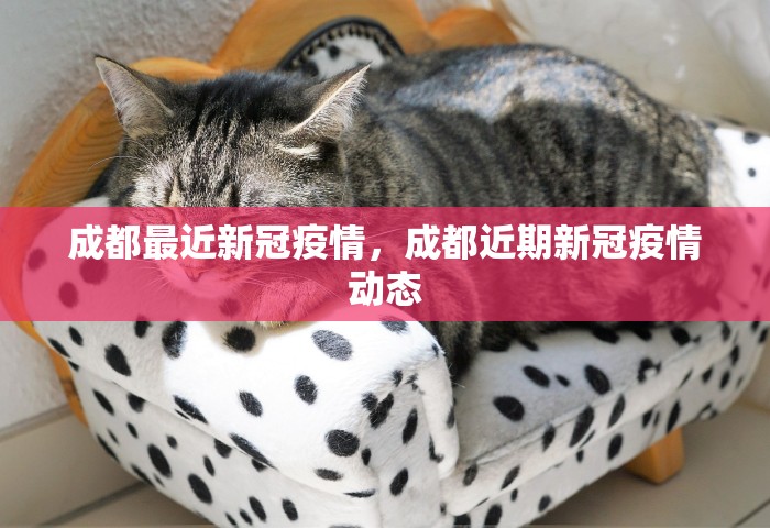 成都最近新冠疫情	，成都近期新冠疫情动态