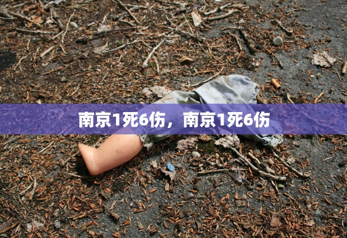 南京1死6伤，南京1死6伤