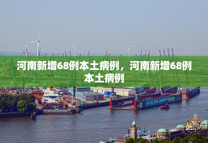 31省份新增4例确诊 均为境外输入	，31省份新增4例确诊均为境外输入