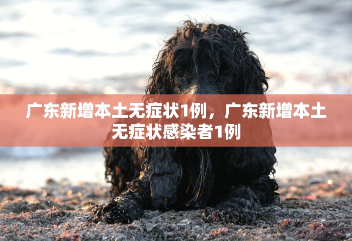 辽宁昨日新增58例本土无症状感染者	，辽宁昨日新增58例本土无症状感染者