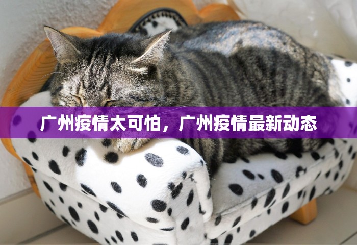 广州疫情太可怕，广州疫情最新动态