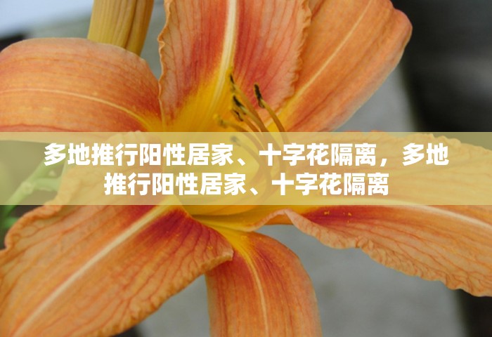 2021高考时间表，2021年全国高考时间安排表