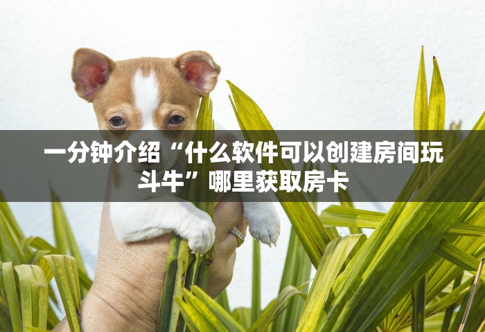 给大家讲解“如何创建微信群热玩吧房间”详细房卡怎么充值教程