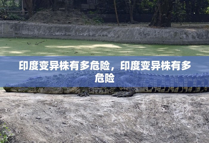 印度变异株有多危险	，印度变异株有多危险