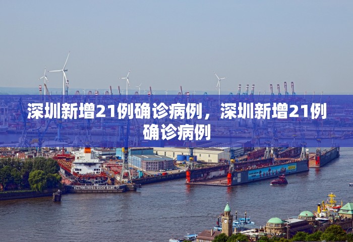 深圳新增21例确诊病例	，深圳新增21例确诊病例