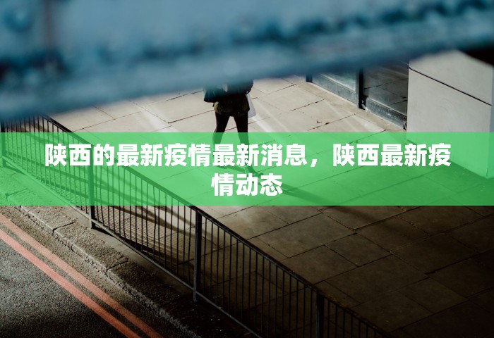 陕西的最新疫情最新消息	，陕西最新疫情动态