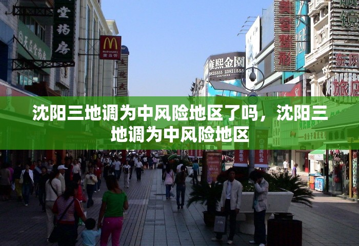 沈阳三地调为中风险地区了吗，沈阳三地调为中风险地区