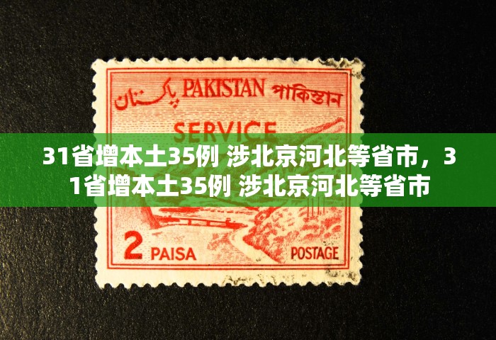 31省增本土35例 涉北京河北等省市，31省增本土35例 涉北京河北等省市
