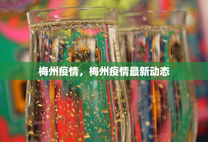 梅州疫情，梅州疫情最新动态