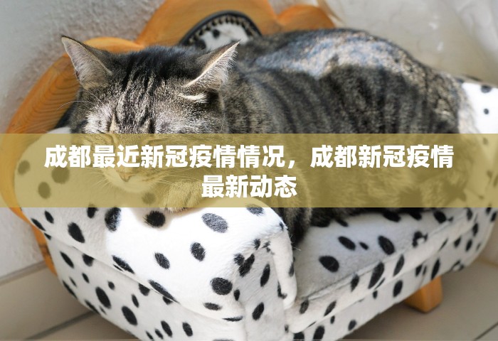 成都最近新冠疫情情况	，成都新冠疫情最新动态