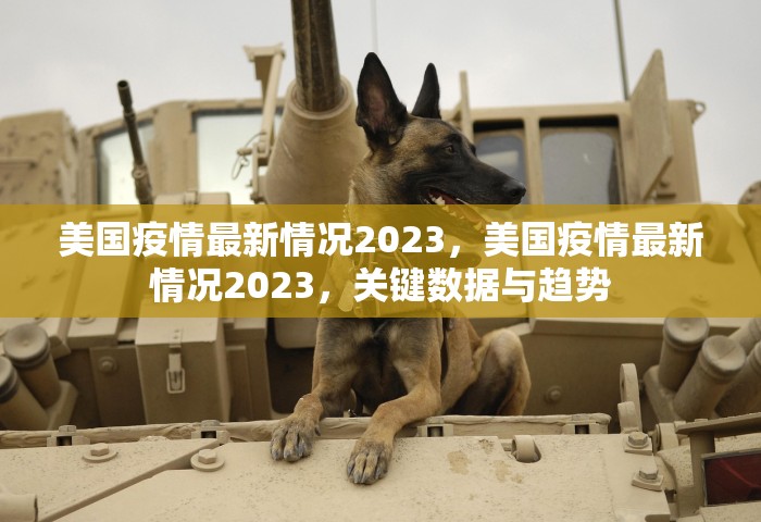 美国疫情最新情况2023，美国疫情最新情况2023，关键数据与趋势