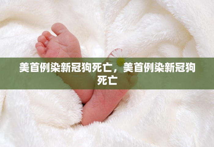 美首例染新冠狗死亡，美首例染新冠狗死亡