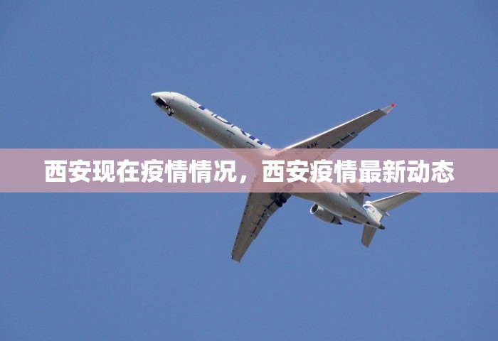 西安现在疫情情况，西安疫情最新动态
