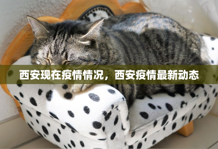 西安现在疫情情况	，西安疫情最新动态