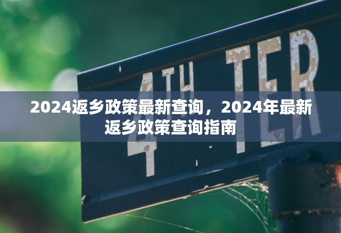 2024返乡政策最新查询，2024年最新返乡政策查询指南