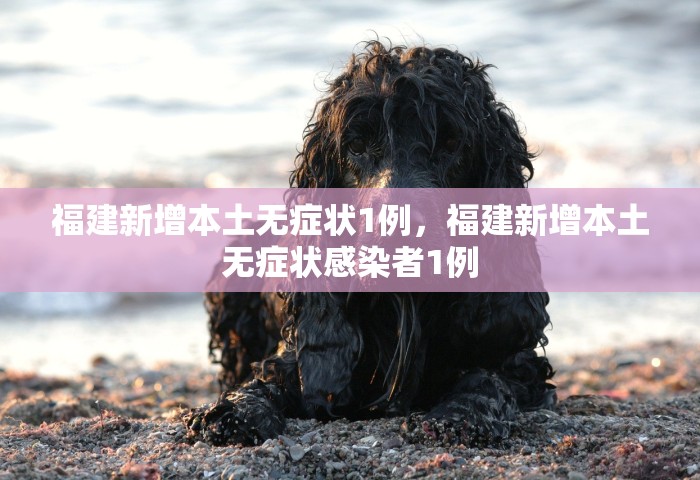 福建新增本土无症状1例，福建新增本土无症状感染者1例