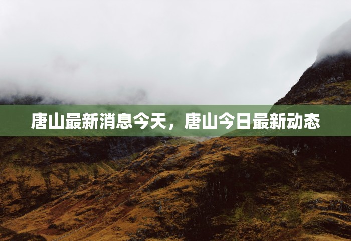 唐山最新消息今天，唐山今日最新动态