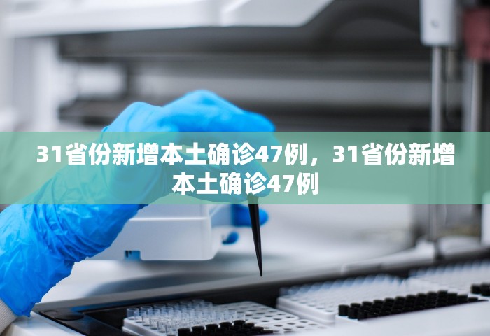西宁回应白菜近50元，西宁回应白菜近50元，价格波动引关注