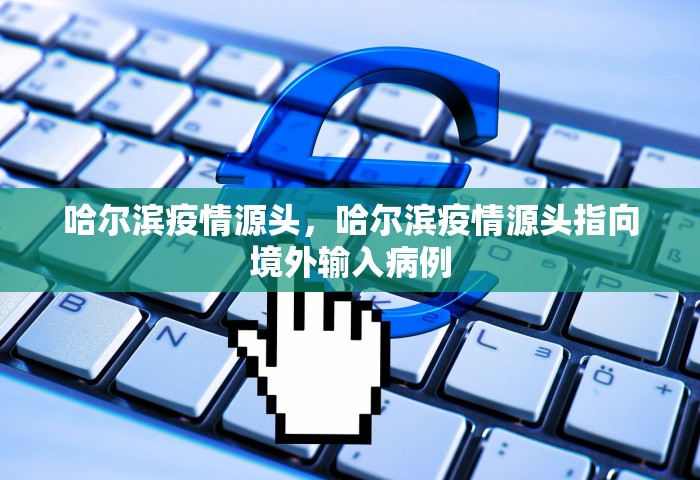 哈尔滨疫情源头，哈尔滨疫情源头指向境外输入病例