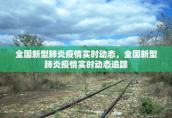 全国新型肺炎疫情实时动态，全国新型肺炎疫情实时动态追踪