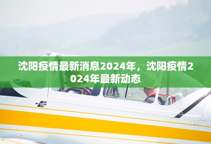 沈阳疫情最新消息2024年	，沈阳疫情2024年最新动态