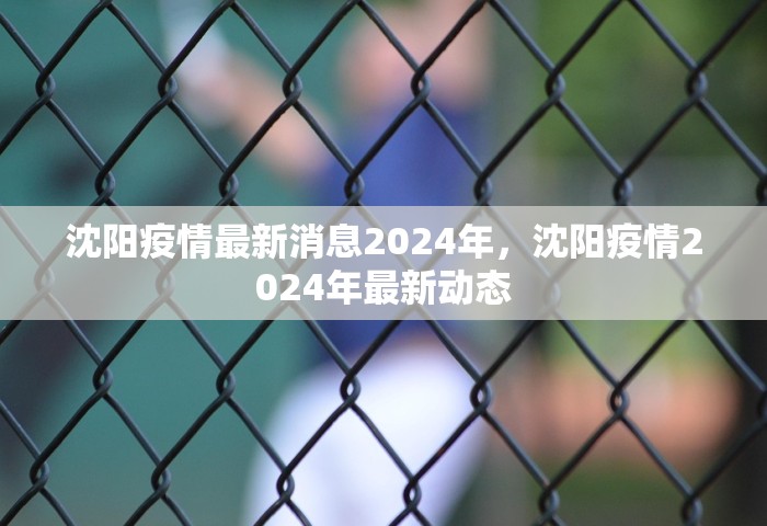 沈阳疫情最新消息2024年，沈阳疫情2024年最新动态