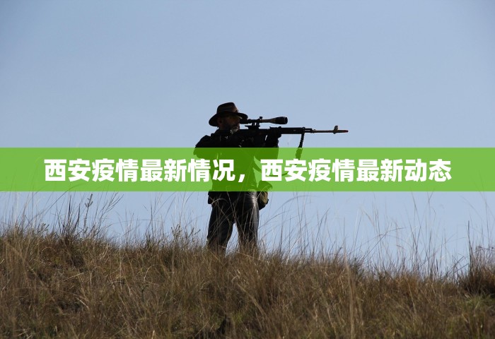 西安疫情最新情况，西安疫情最新动态