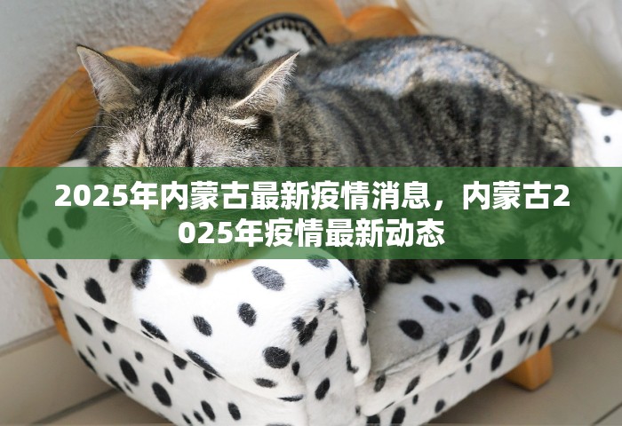 2025年内蒙古最新疫情消息，内蒙古2025年疫情最新动态