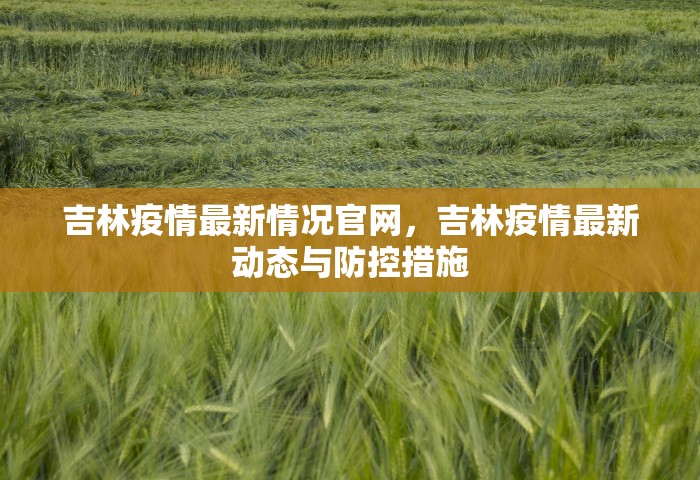 吉林疫情最新情况官网，吉林疫情最新动态与防控措施