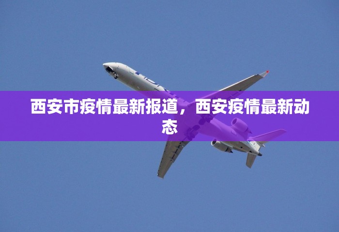 西安市疫情最新报道，西安疫情最新动态