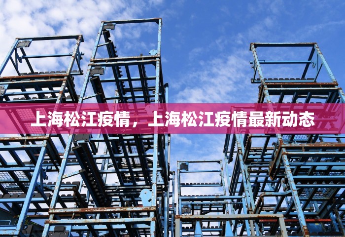 上海松江疫情	，上海松江疫情最新动态