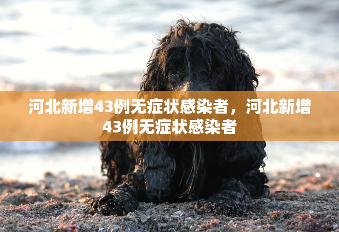 河北新增43例无症状感染者	，河北新增43例无症状感染者