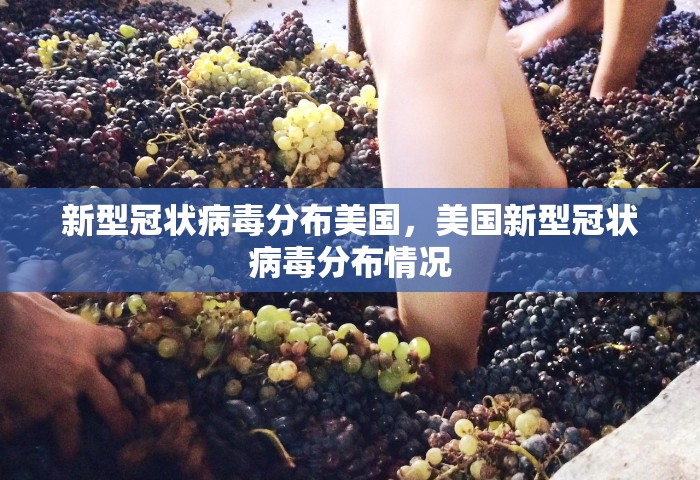 新型冠状病毒分布美国	，美国新型冠状病毒分布情况
