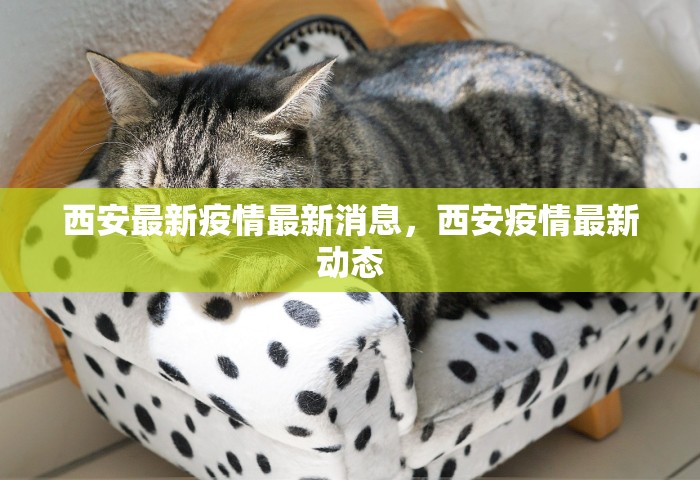 西安最新疫情最新消息，西安疫情最新动态