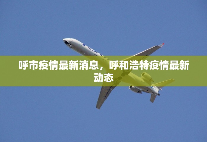呼市疫情最新消息，呼和浩特疫情最新动态