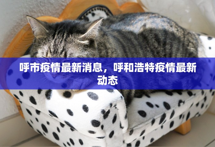 呼市疫情最新消息，呼和浩特疫情最新动态