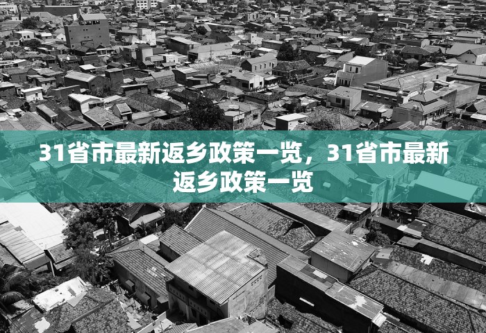 31省市最新返乡政策一览	，31省市最新返乡政策一览