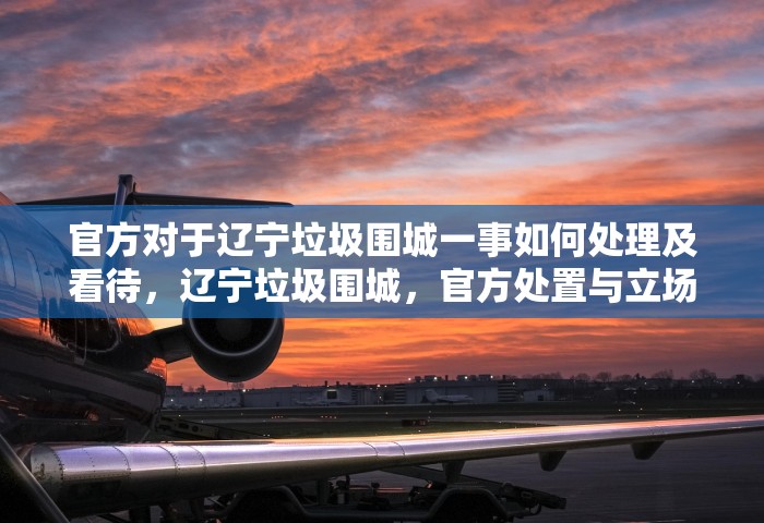 官方对于辽宁垃圾围城一事如何处理及看待	，辽宁垃圾围城，官方处置与立场