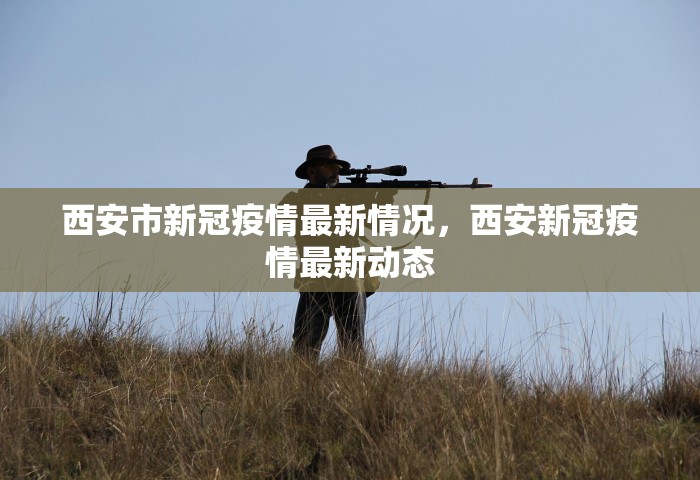 西安市新冠疫情最新情况，西安新冠疫情最新动态