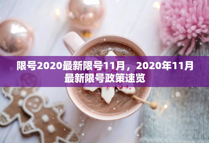 限号2020最新限号11月，2020年11月最新限号政策速览