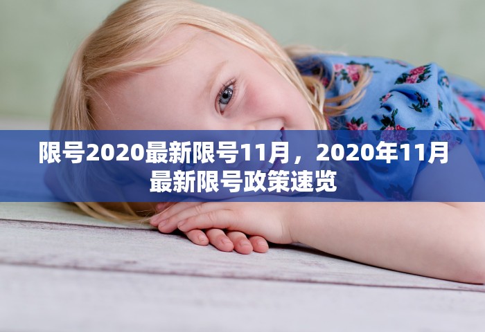 限号2020最新限号11月，2020年11月最新限号政策速览